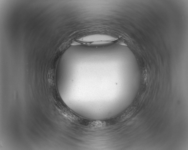 X0000053110421200508081230