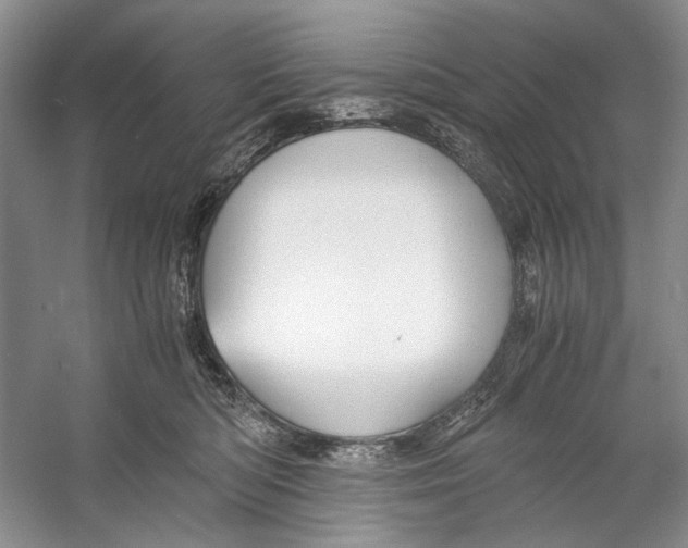 X0000053110422200508081230