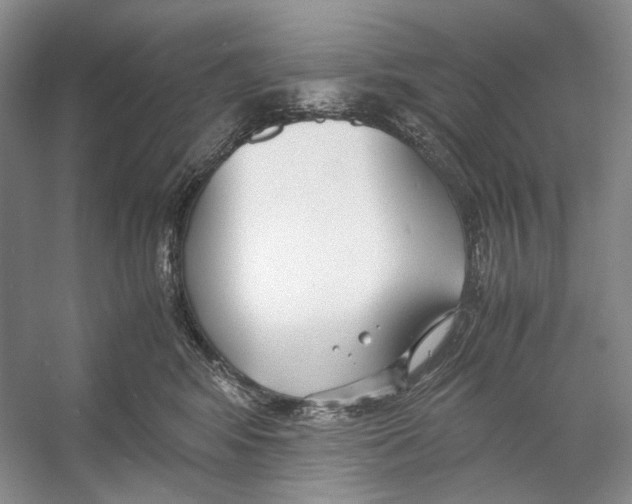 X0000053110424200508081230