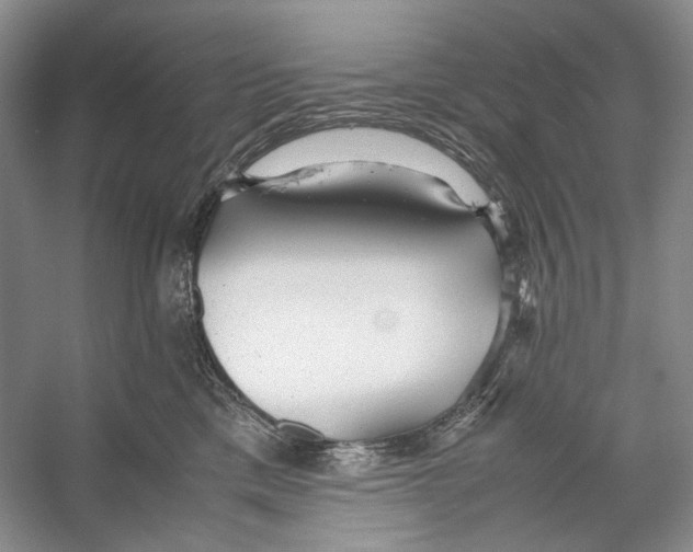 X0000053110425200508081230