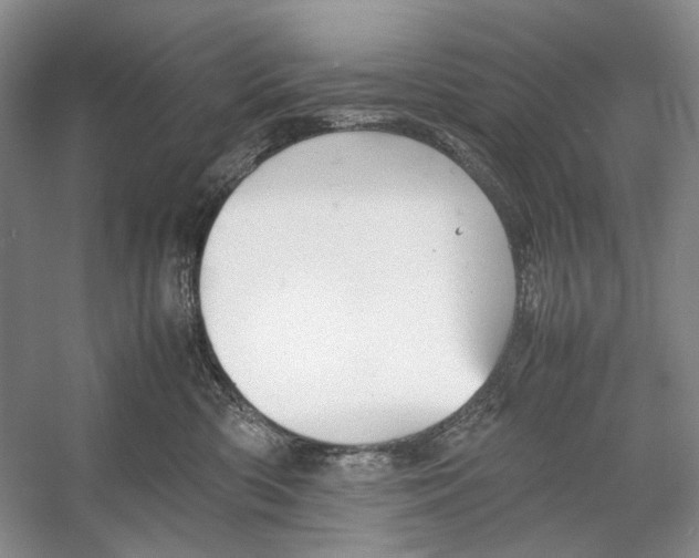 X0000053110426200508081230