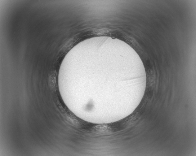 X0000053110427200508081230