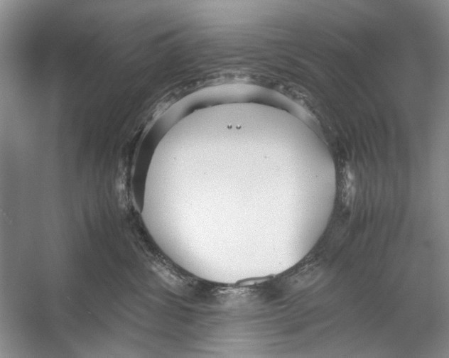 X0000053110428200508081230