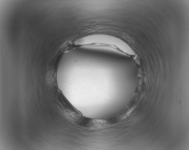 X0000053110429200508081230