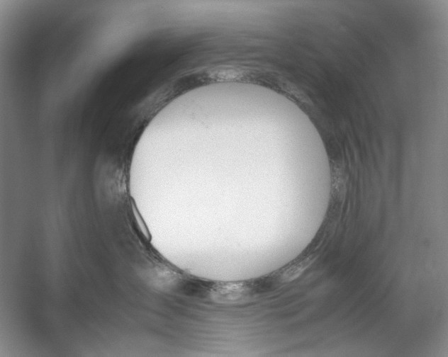 X0000053110431200508081230