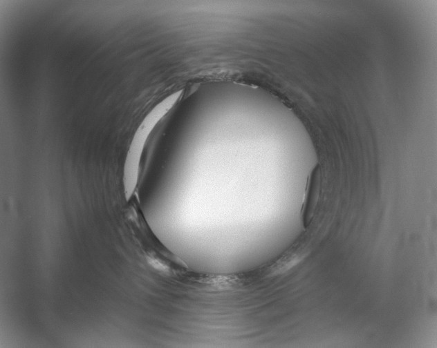 X0000053110432200508081230