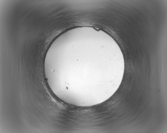 X0000053110433200508081229