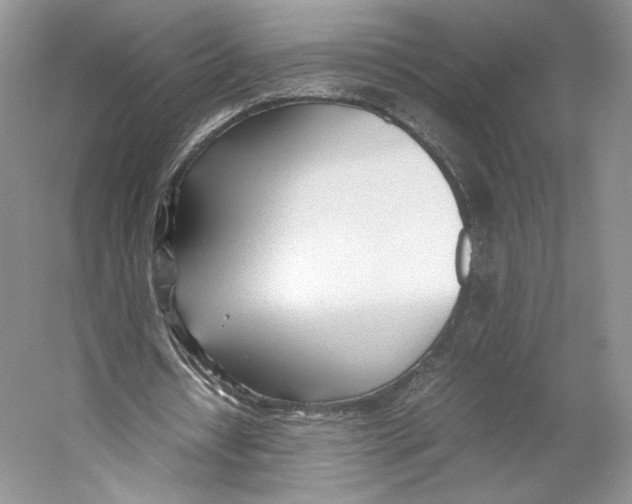 X0000053110434200508081229