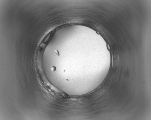 X0000053110435200508081229