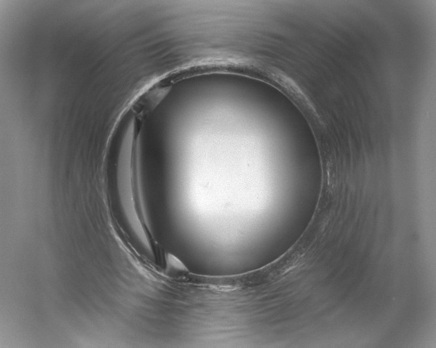 X0000053110436200508081229