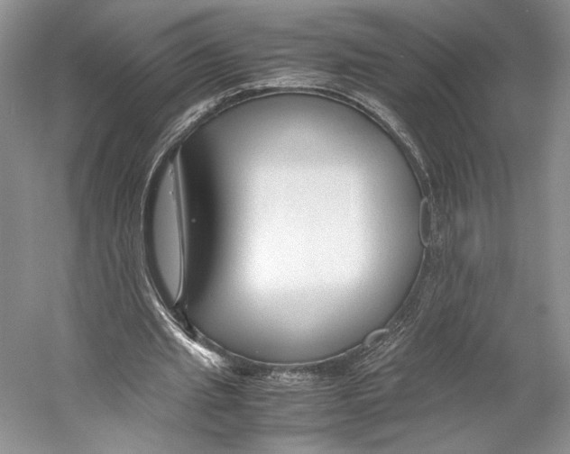 X0000053110437200508081229