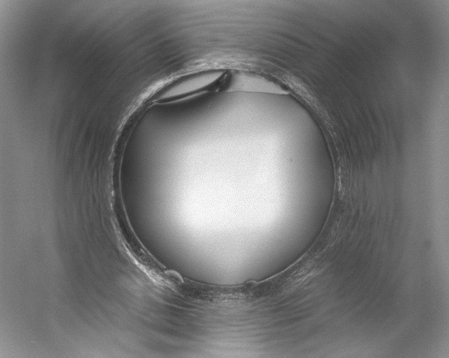 X0000053110438200508081229