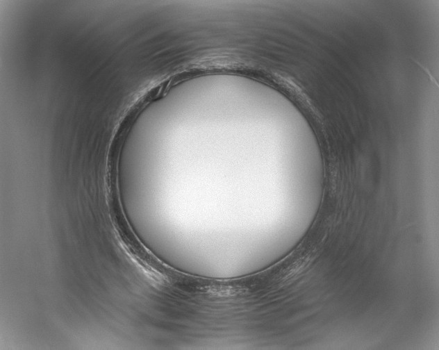 X0000053110439200508081229