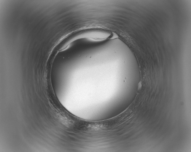 X0000053110440200508081229