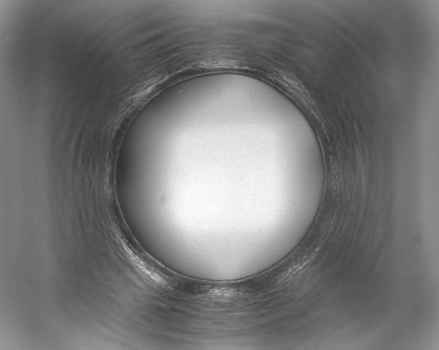 X0000053110441200508081229