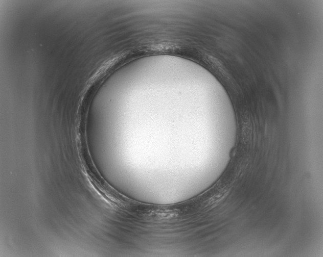 X0000053110443200508081229