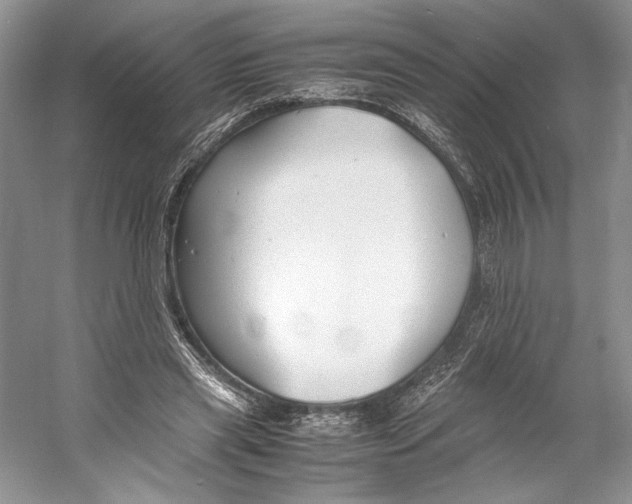 X0000053110445200508081229