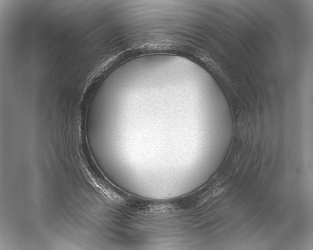 X0000053110446200508081230