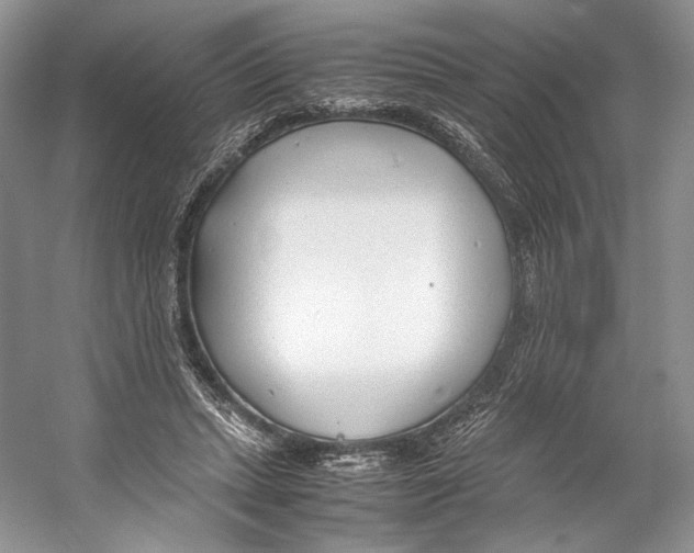 X0000053110447200508081230