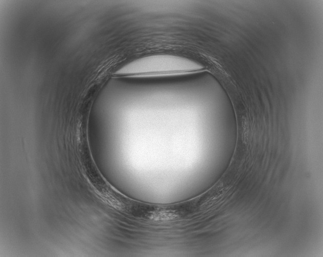 X0000053110451200508081230