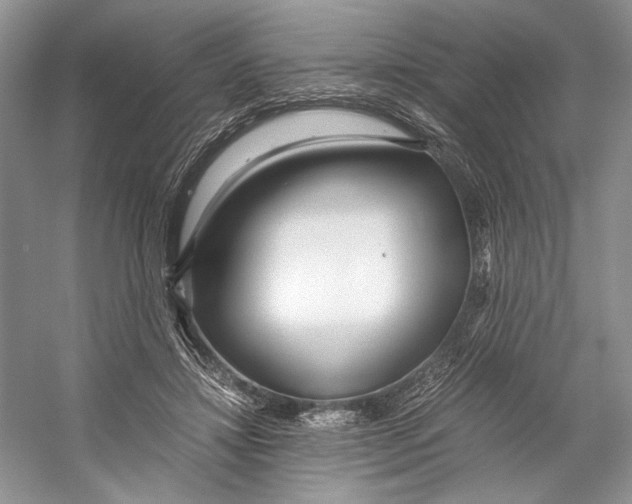 X0000053110452200508081230