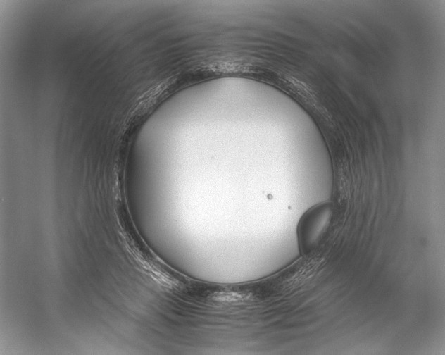 X0000053110453200508081230