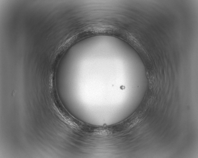 X0000053110454200508081230