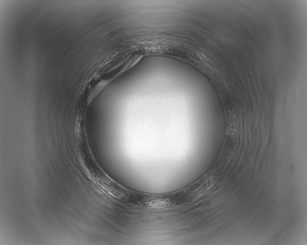 X0000053110456200508081230