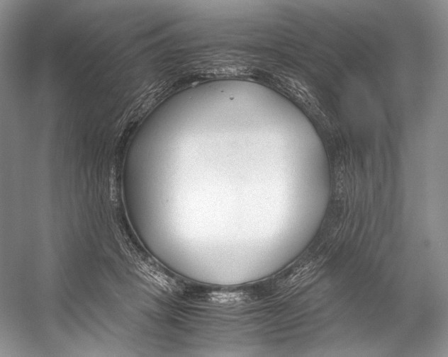 X0000053110457200508081230