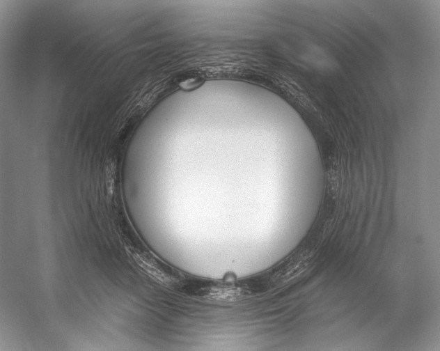 X0000053110458200508081230