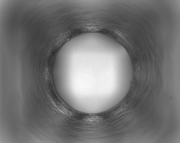 X0000053110459200508081230