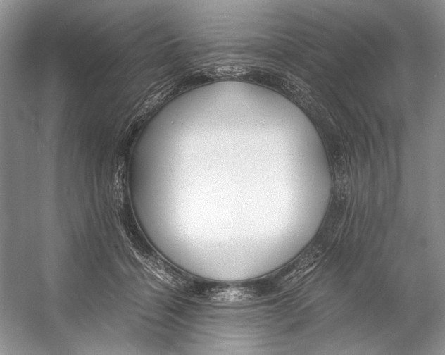 X0000053110460200508081230