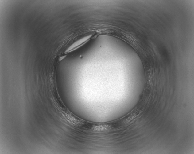 X0000053110461200508081230