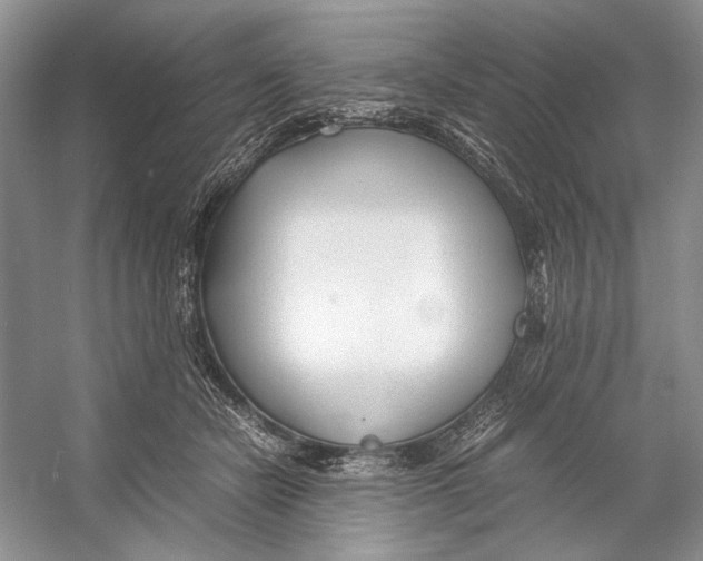 X0000053110462200508081230