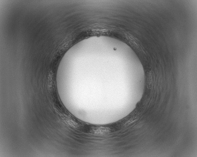 X0000053110463200508081230