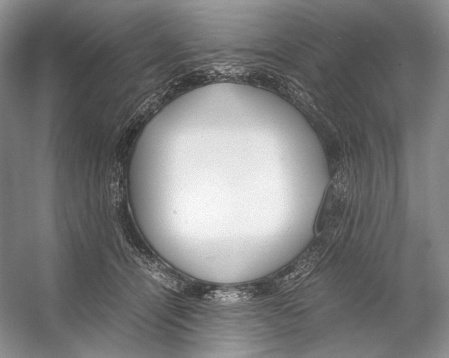 X0000053110464200508081230