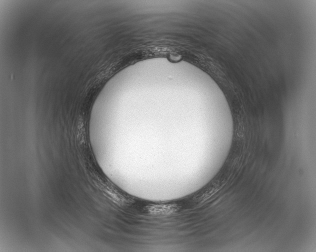 X0000053110465200508081230