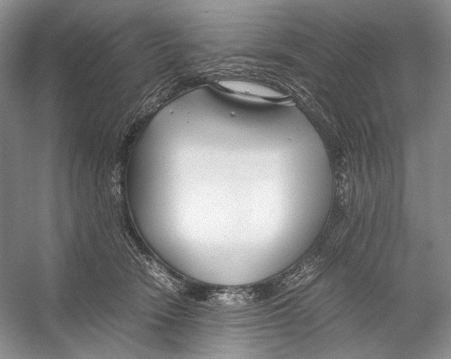 X0000053110466200508081230