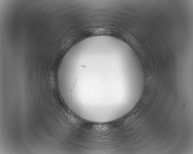 X0000053110469200508081230