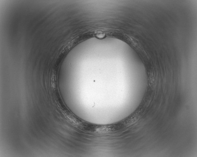 X0000053110470200508081230