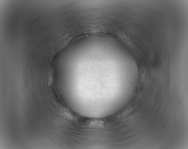 X0000053110471200508081230