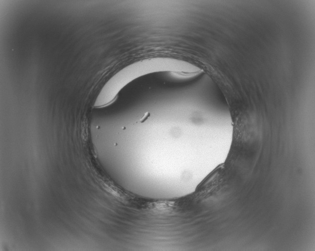 X0000053110474200508081230