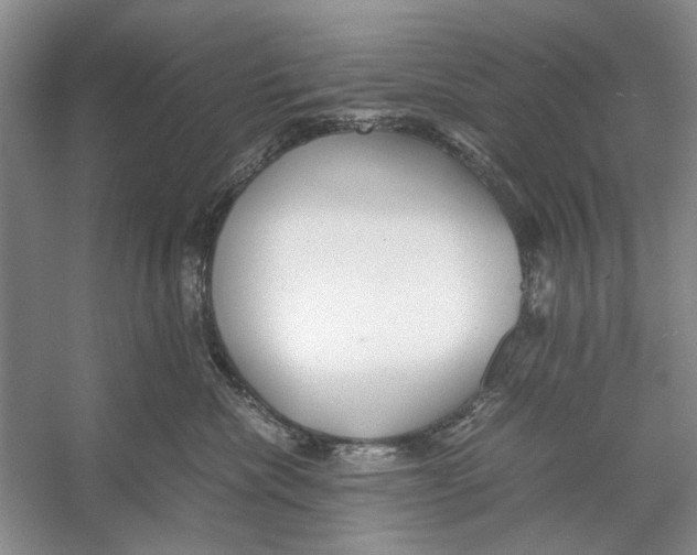 X0000053110476200508081230