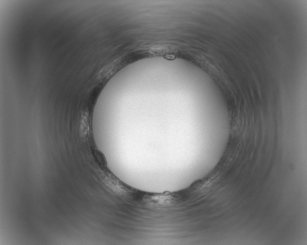 X0000053110478200508081230