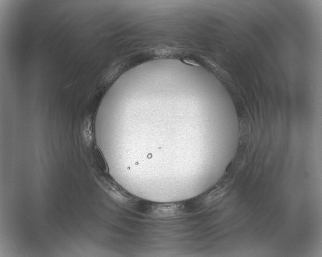 X0000053110479200508081230