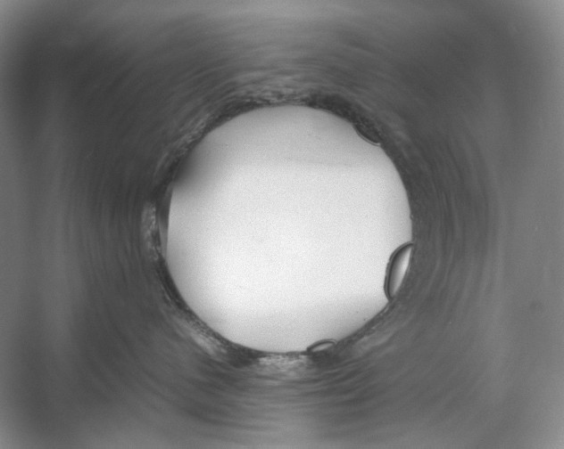 X0000053110480200508081230