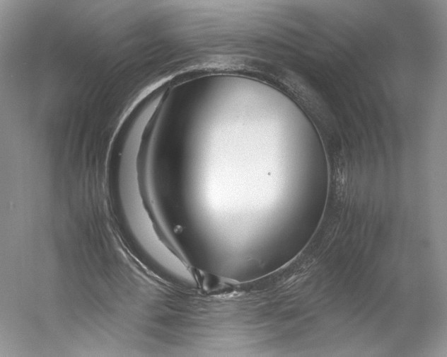 X0000053110484200508081229