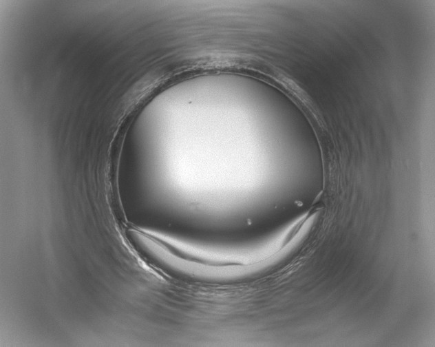 X0000053110485200508081229