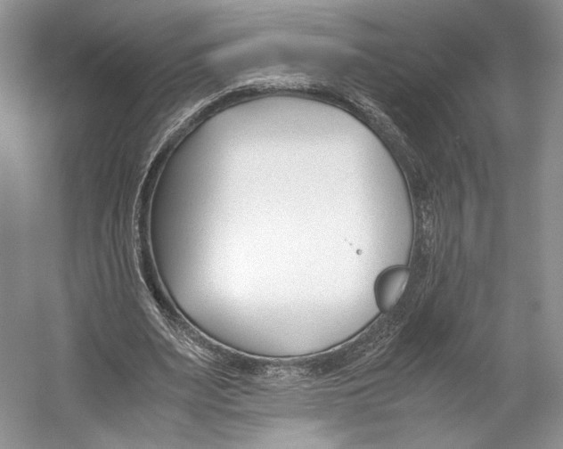 X0000053110487200508081229