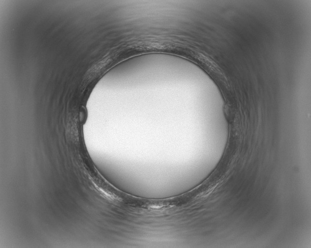 X0000053110489200508081229